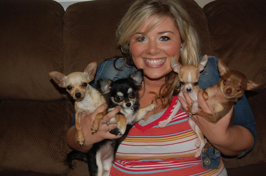happy blonde woman holds four chihuahua puppies
