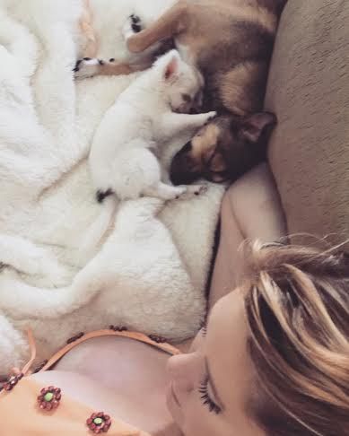 two puppies sleep and snuggle with view of woman's cleavage